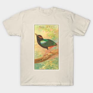 Rainbow Pitta T-Shirt